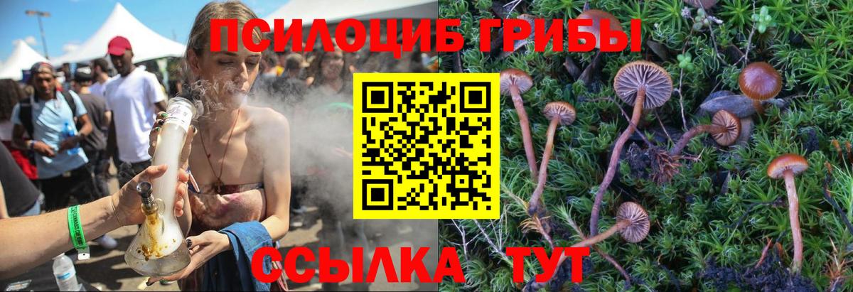 Галлюциногенные грибы GOLDEN TEACHER  Вход с VPN  Галлюциногенные грибы мухоморы  Туапсе 